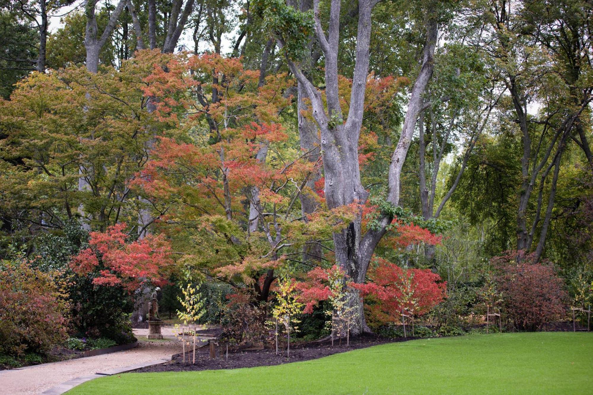 The Cottage At Bolobek Macedon Exterior photo